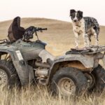 What is a 20 tip on $55?