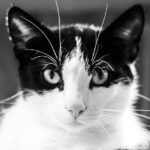 What are examples of hyperesthesia?