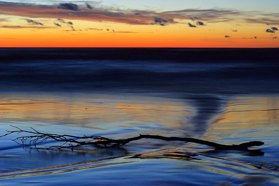 When should you get your Pomeranian first haircut?