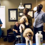 Is It Common for Pet Groomers to Sedate Dogs? Industry Facts