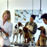 How Often Should I Take My Dog to the Groomers: Breed Schedule 1 How Often Should I Take My Dog to the Groomers: Breed Schedule