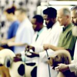 How Much Do Dog Groomers Make: Real Salary Data and Career Outlook