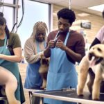 Will Dog Groomers Be Open? Current Operating Status