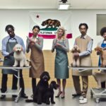 How Much Do Dog Groomers Make in California: State Pay Rates
