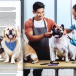 Why Do Groomers Put Bandanas on Dogs? More Than Style