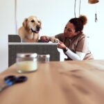 Do Dog Groomers Clip Nails: Standard Services Included