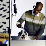 Do Dog Groomers Bathe or Cut Hair First: Professional Process