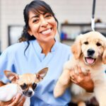 When Can Puppies Go to the Groomers? Vaccination Timeline