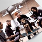 How Do Groomers Deal With Aggressive Dogs: Handling Strategies 1 How Do Groomers Deal With Aggressive Dogs: Handling Strategies