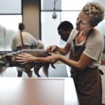 Can Dog Groomers Sedate Dogs: When Sedation Is Allowed