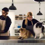 How Do Dog Groomers Dry Dogs: Professional Drying Methods