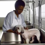 How Do Dog Groomers Bathe Dogs: Professional Washing Process