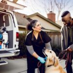 What Are Dog Groomers Who Come to Your House? Mobile Benefits