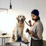 What Do Groomers Use to Deshed Dogs? Proven Techniques