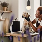 What Do Dog Groomers Use to Calm Dogs During Appointments